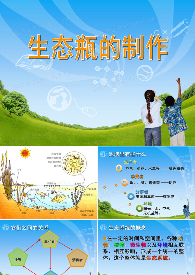 生态瓶制作
