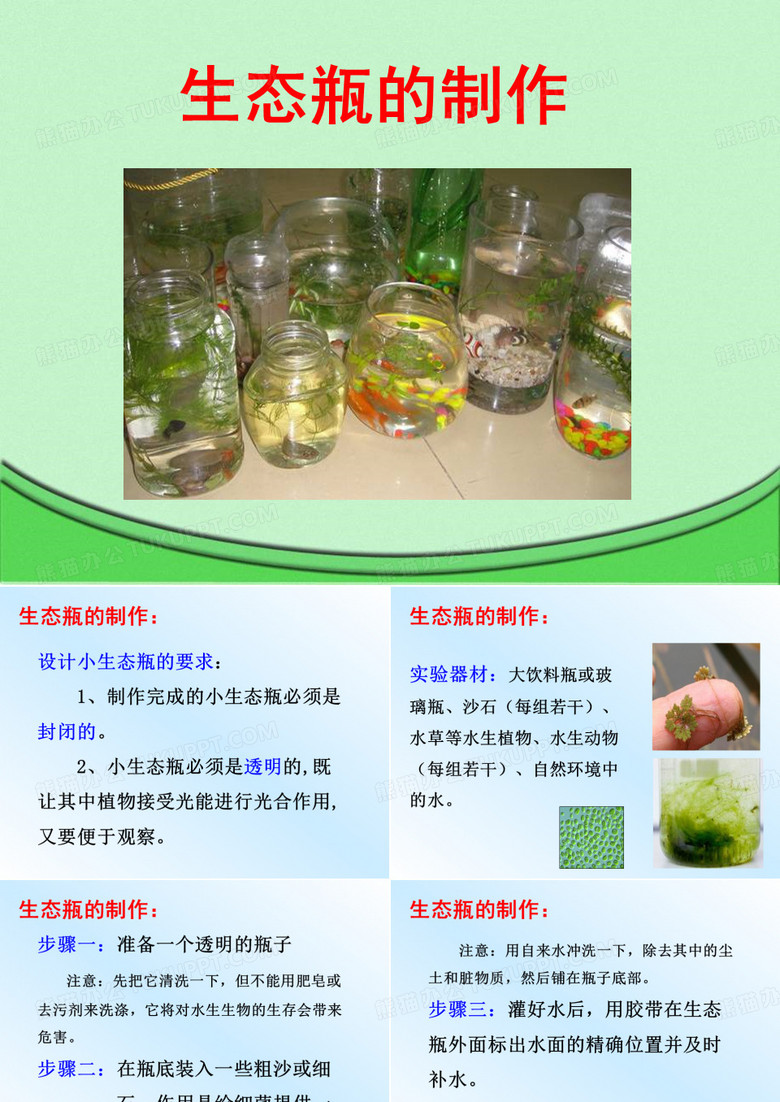 生态瓶制作