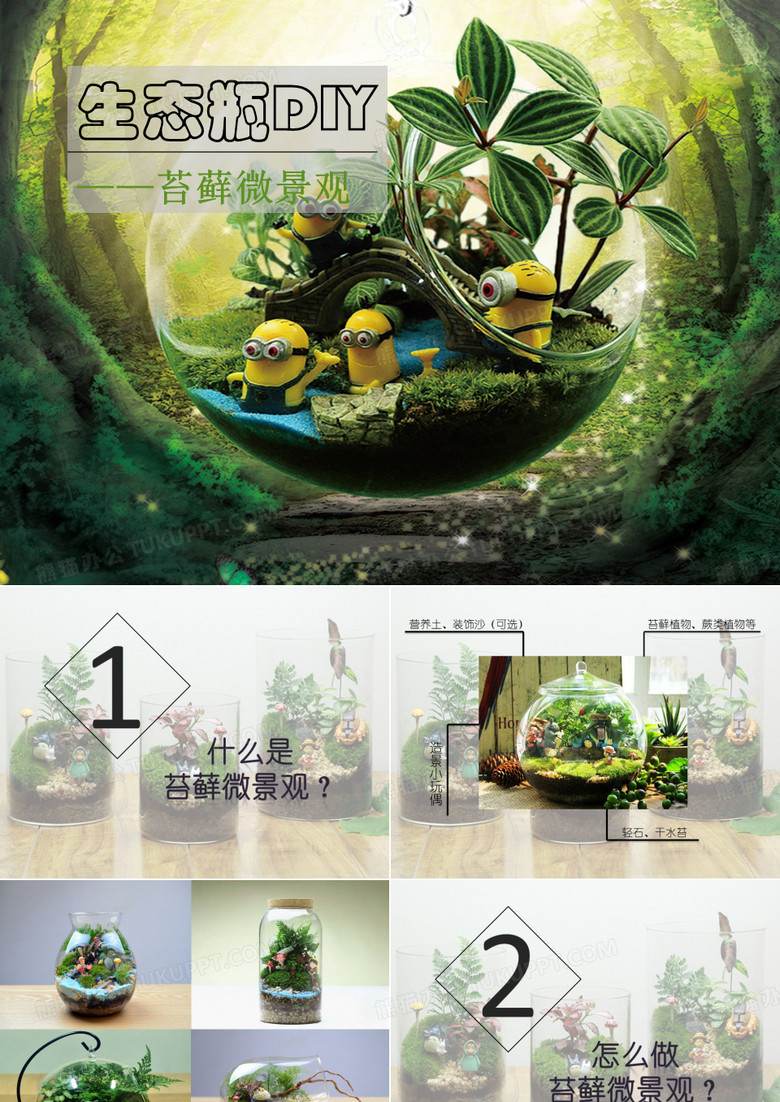 苔藓生态瓶