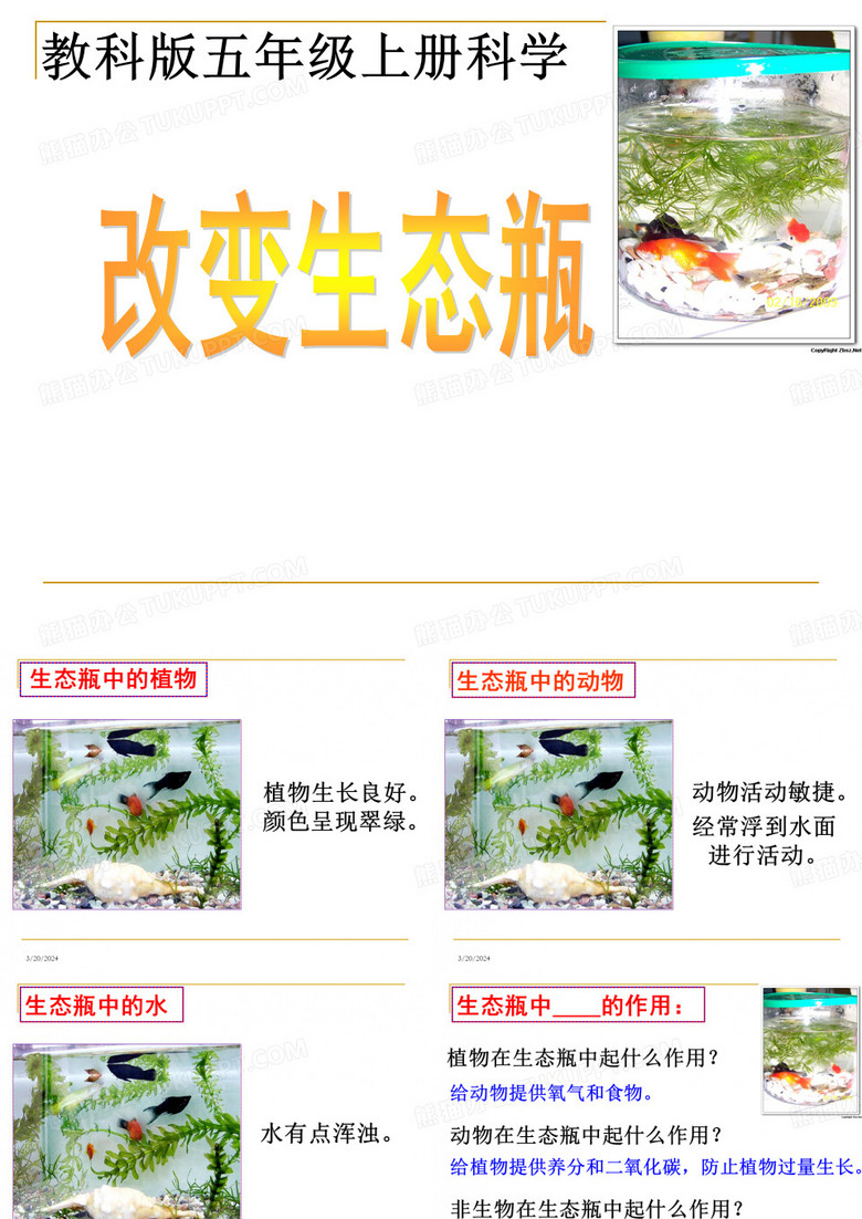 改变生态瓶
