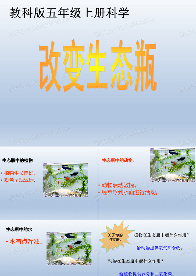 改变生态瓶