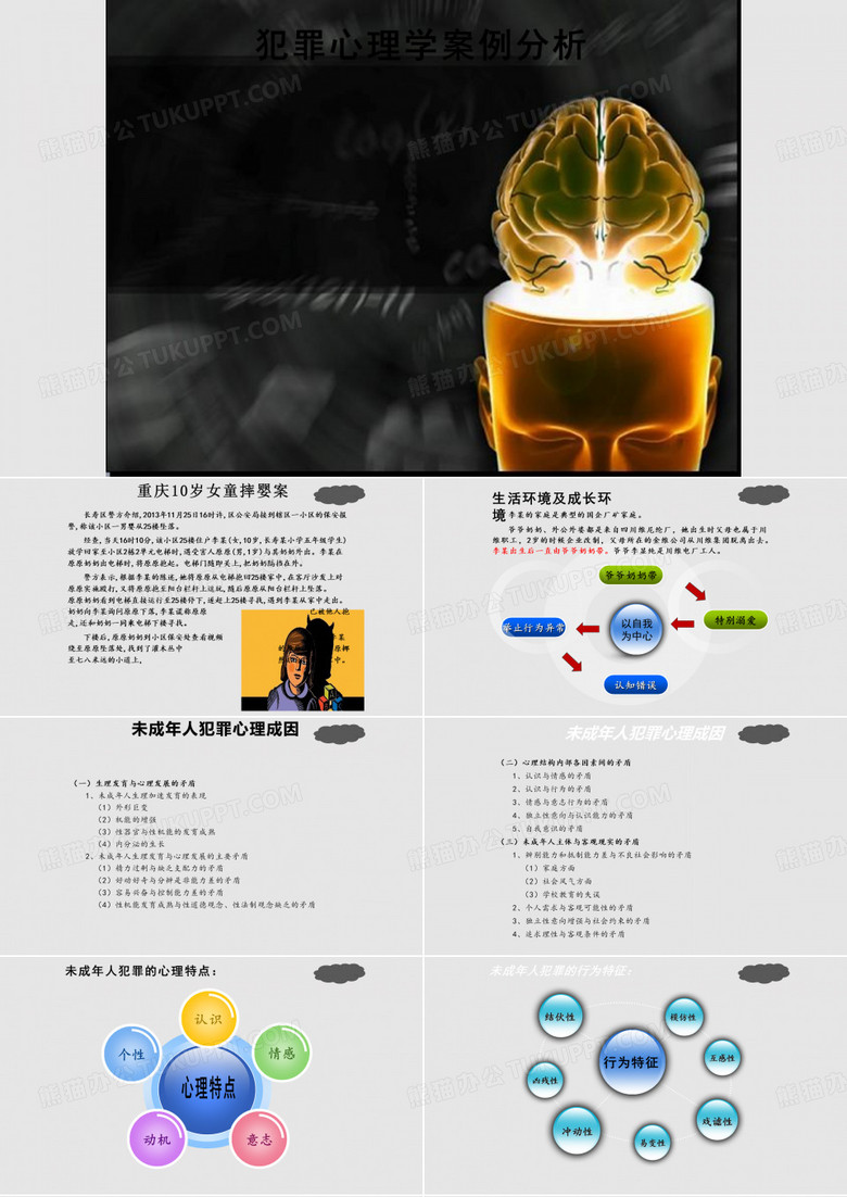 犯罪心理学案例分析