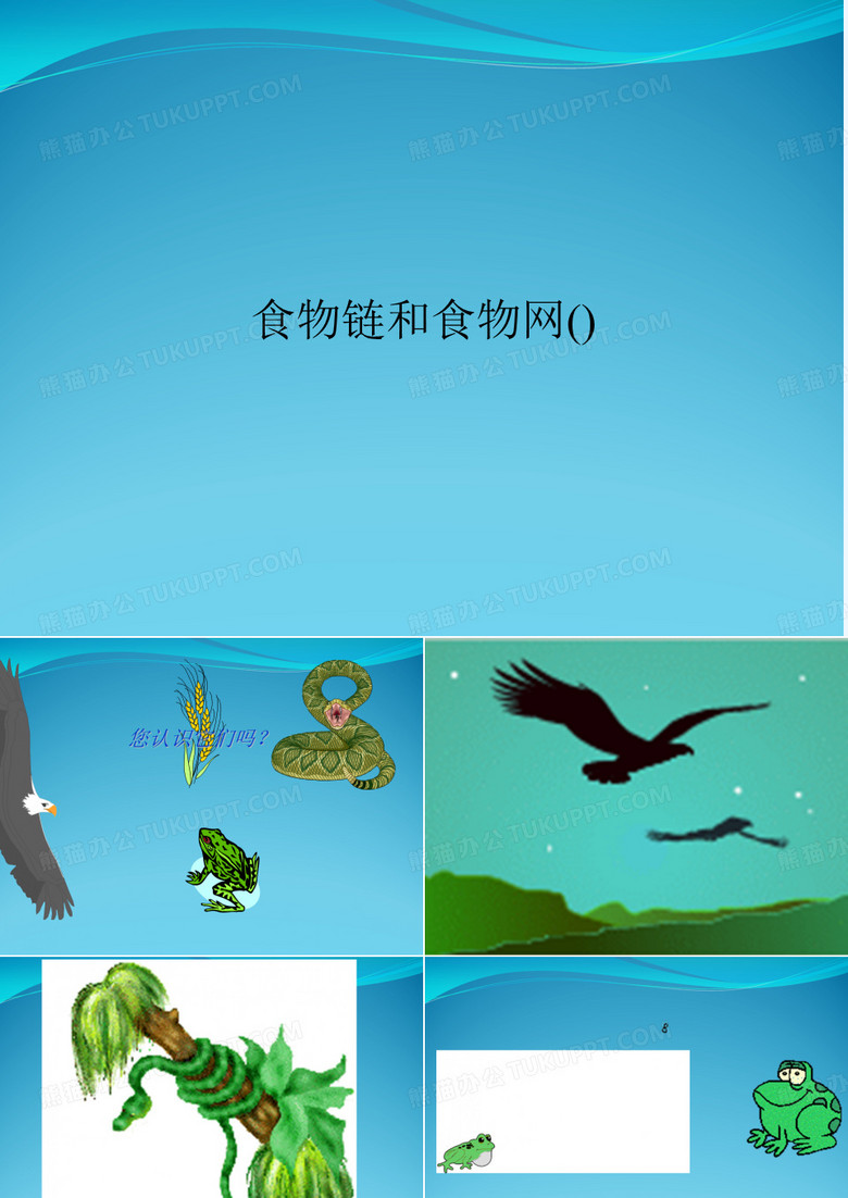 食物链和食物网()