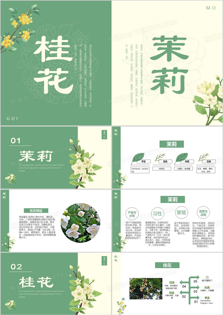 绿色清新茉莉花桂花介绍PPT模板