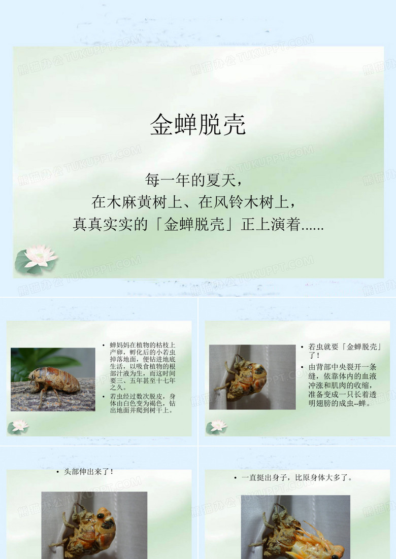 《金蝉脱壳》