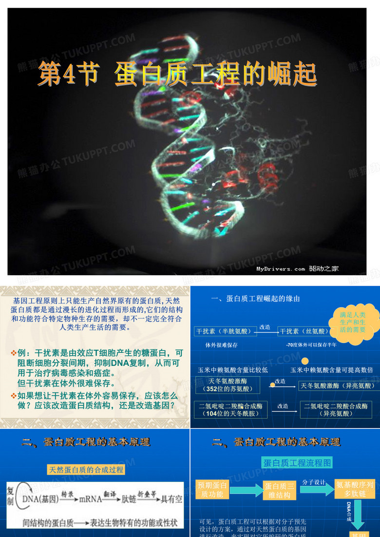 蛋白质工程
