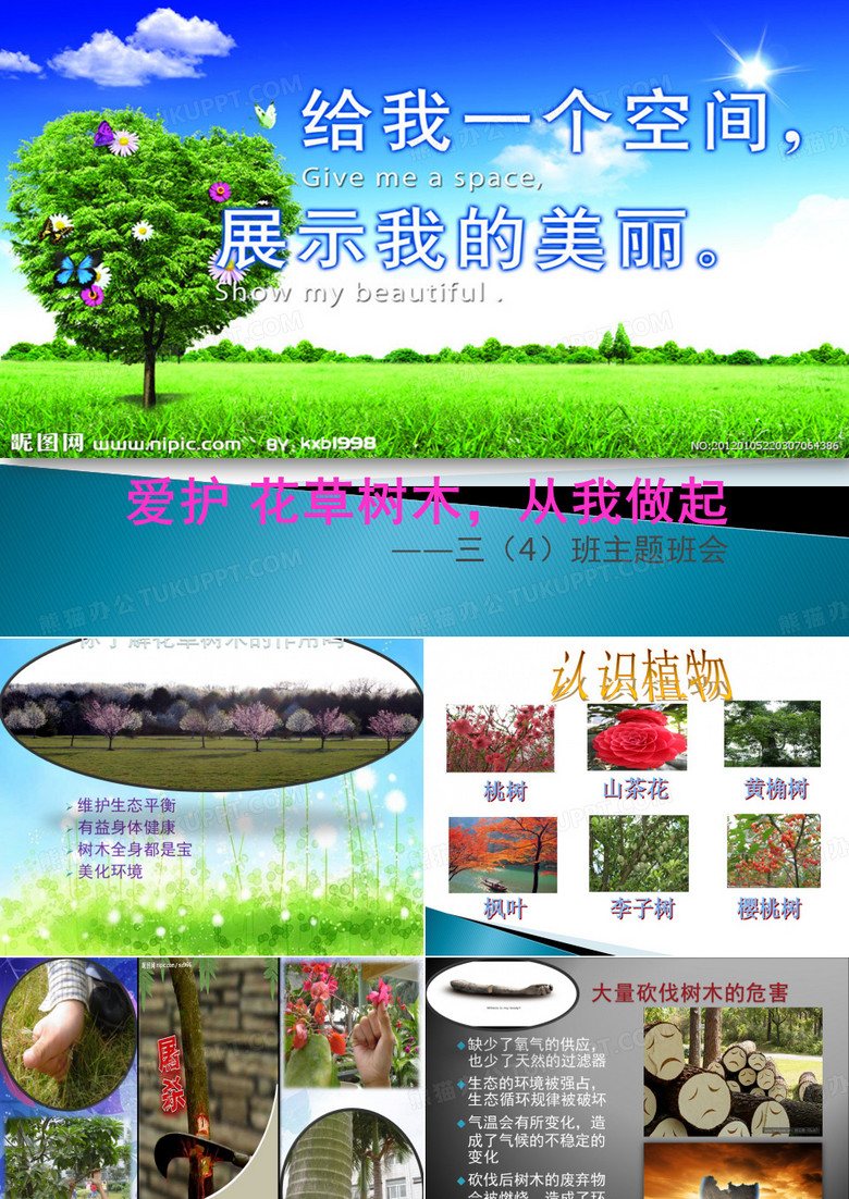 爱护花草树木主题班会