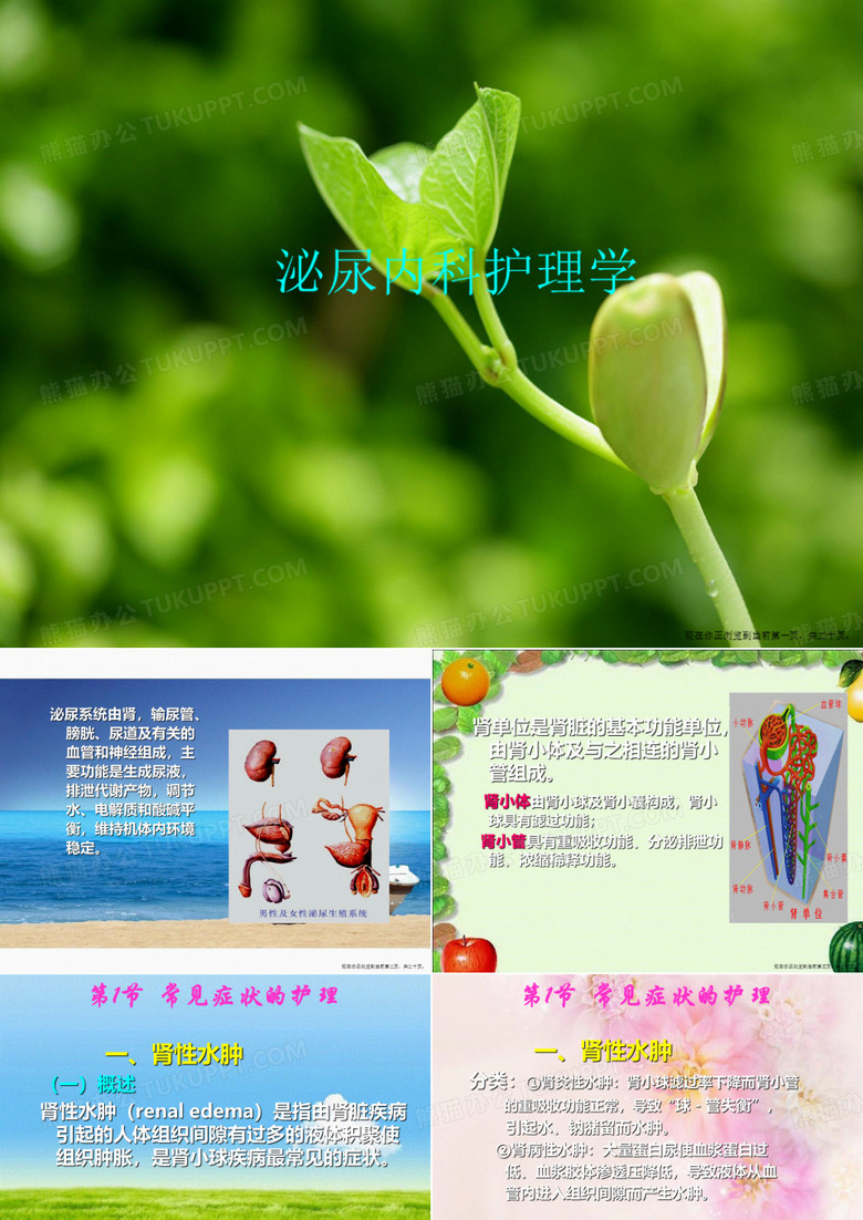 泌尿内科护理学