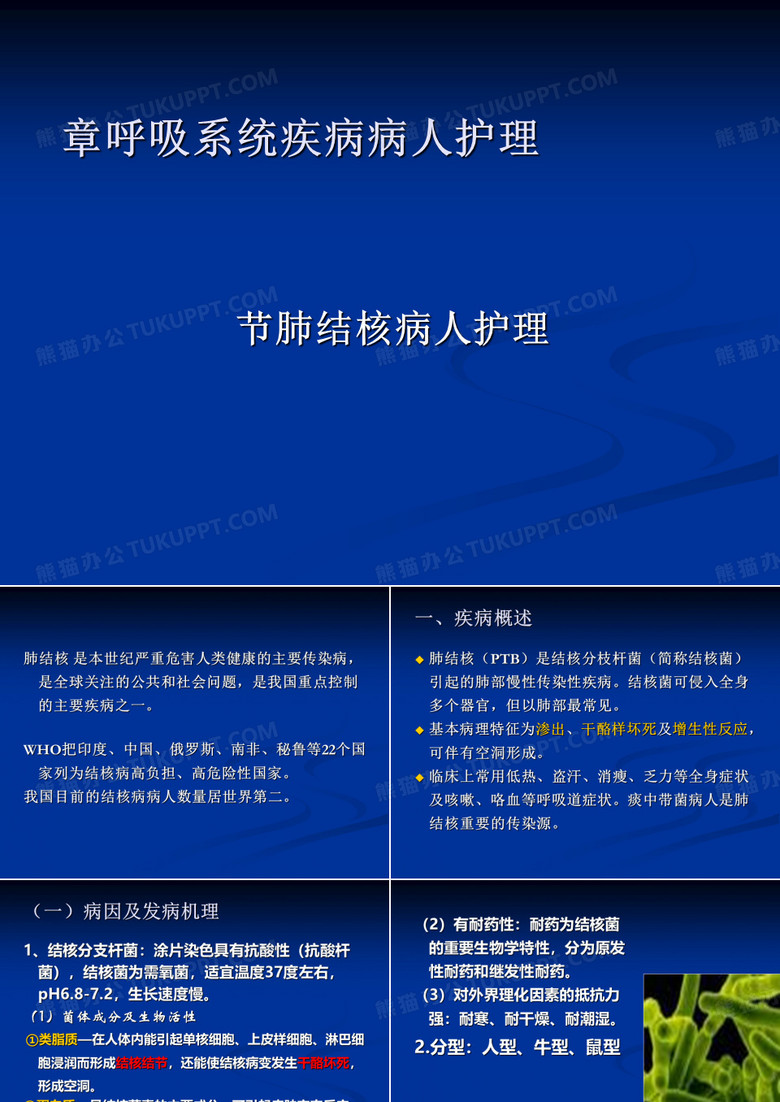 内科护理学肺结核