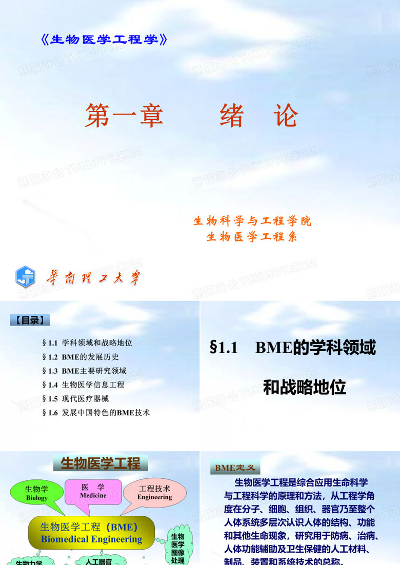 生物医学工程绪论