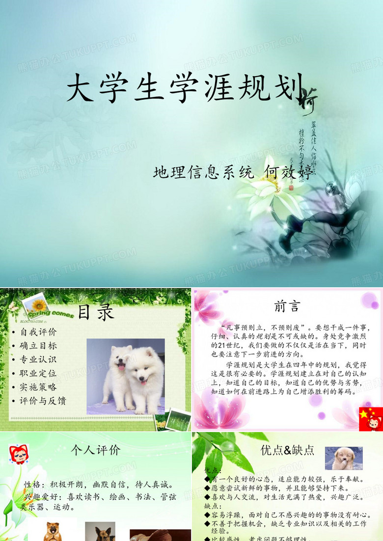2019年大学生学涯规划.ppt
