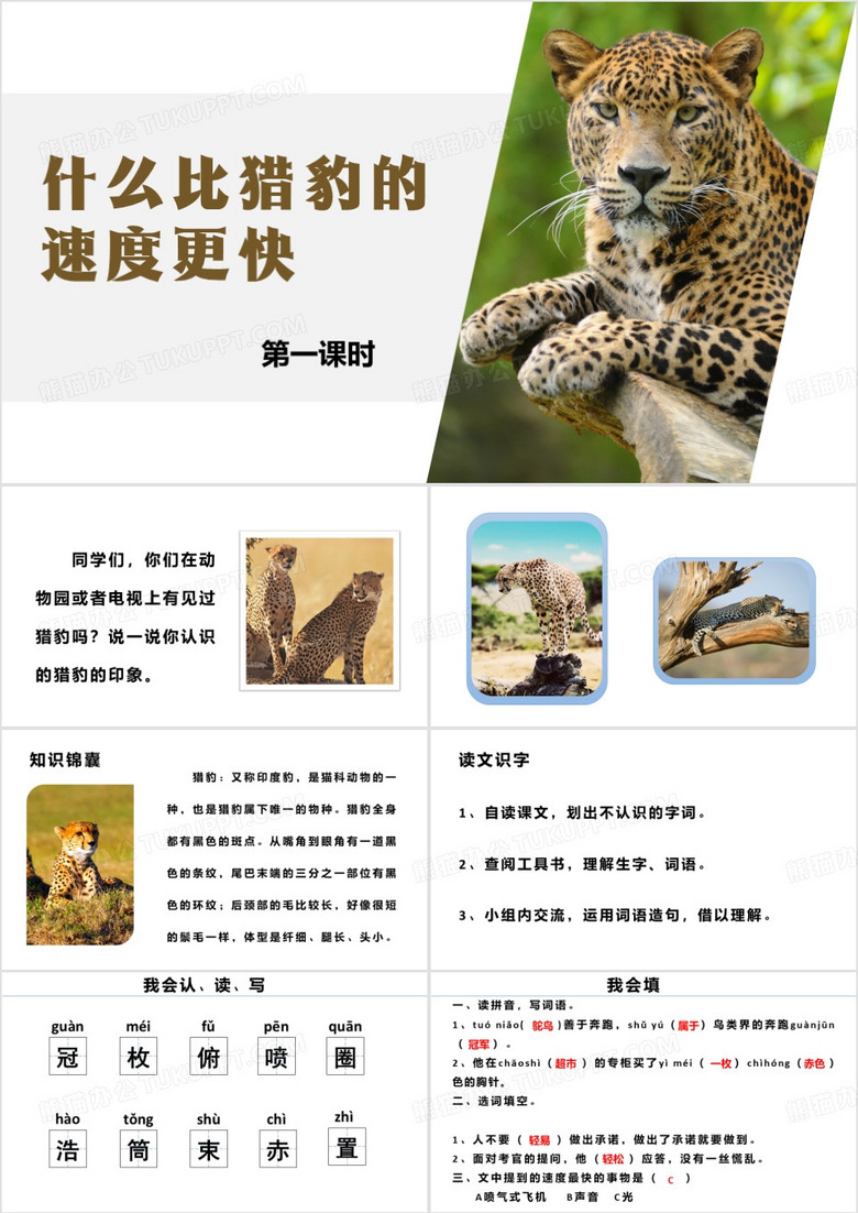 简约风什么比猎豹的速度更快PPT模板