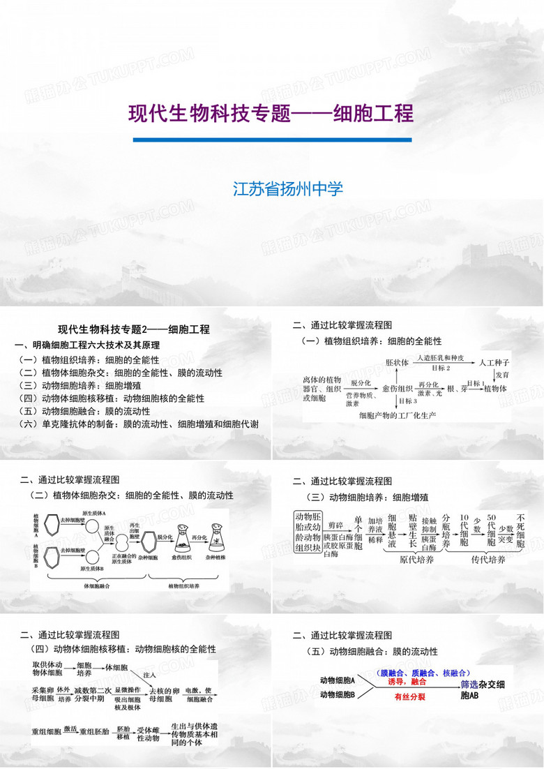 现代生物科技专题——细胞工程