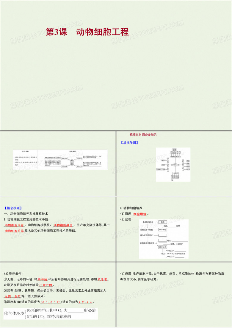 2022版高考生物一轮复习现代生物科技专题第3课动物细胞工程课件新人教版