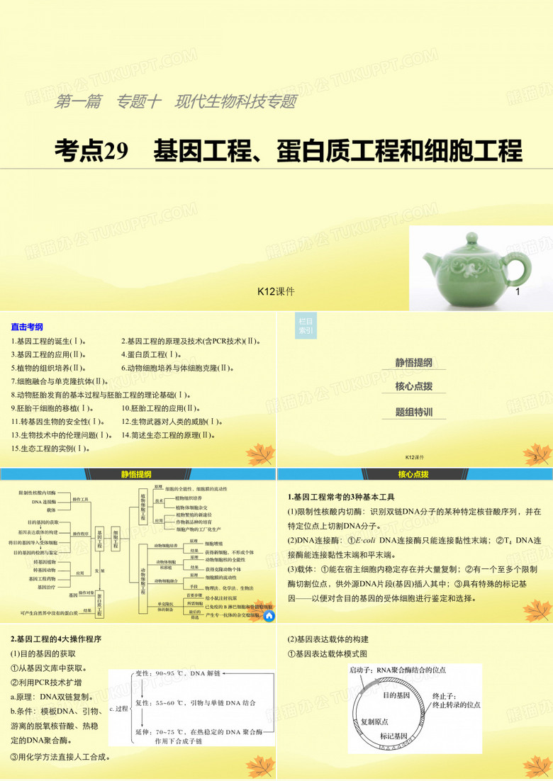 2019版高考生物二轮复习 专题十 现代生物科技专题 考点29 基因工程、蛋白质工程和细胞工程