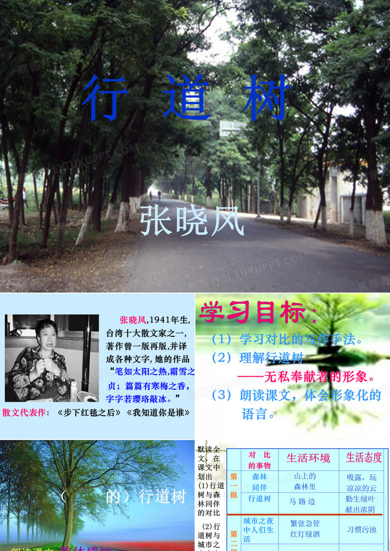行道树课件