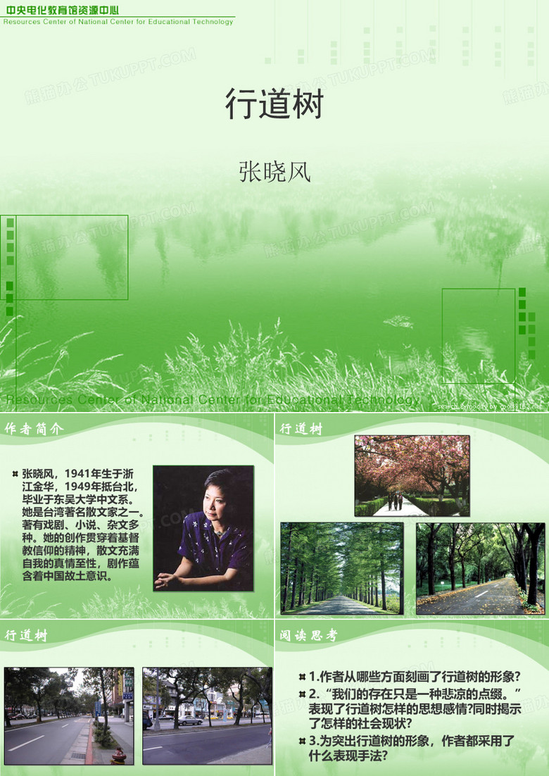 行道树 (5)