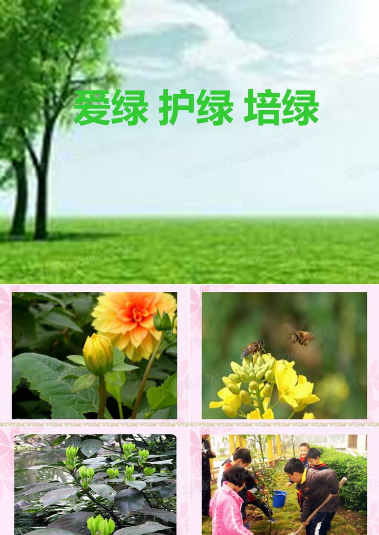 爱绿护绿主题班会