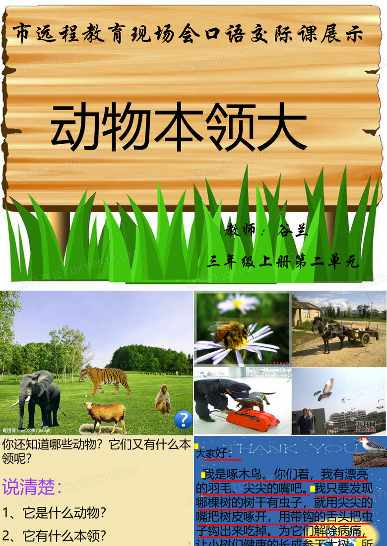 动物本领大课件