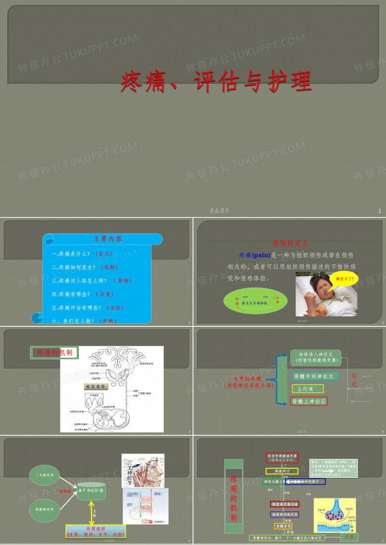 疼痛评估与护理