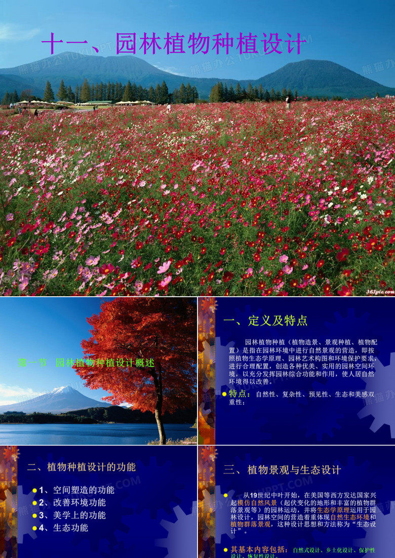 植物 种植 设计