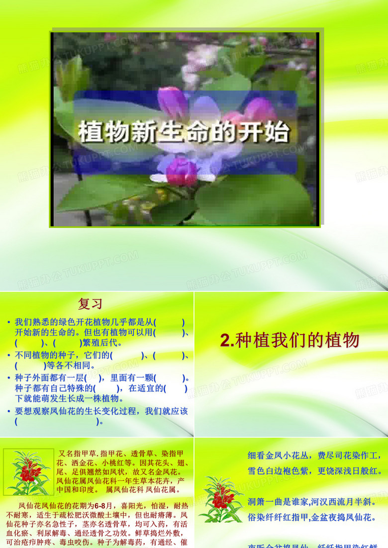 种植我们的植物