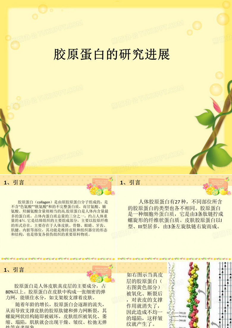 胶原蛋白的研究进展