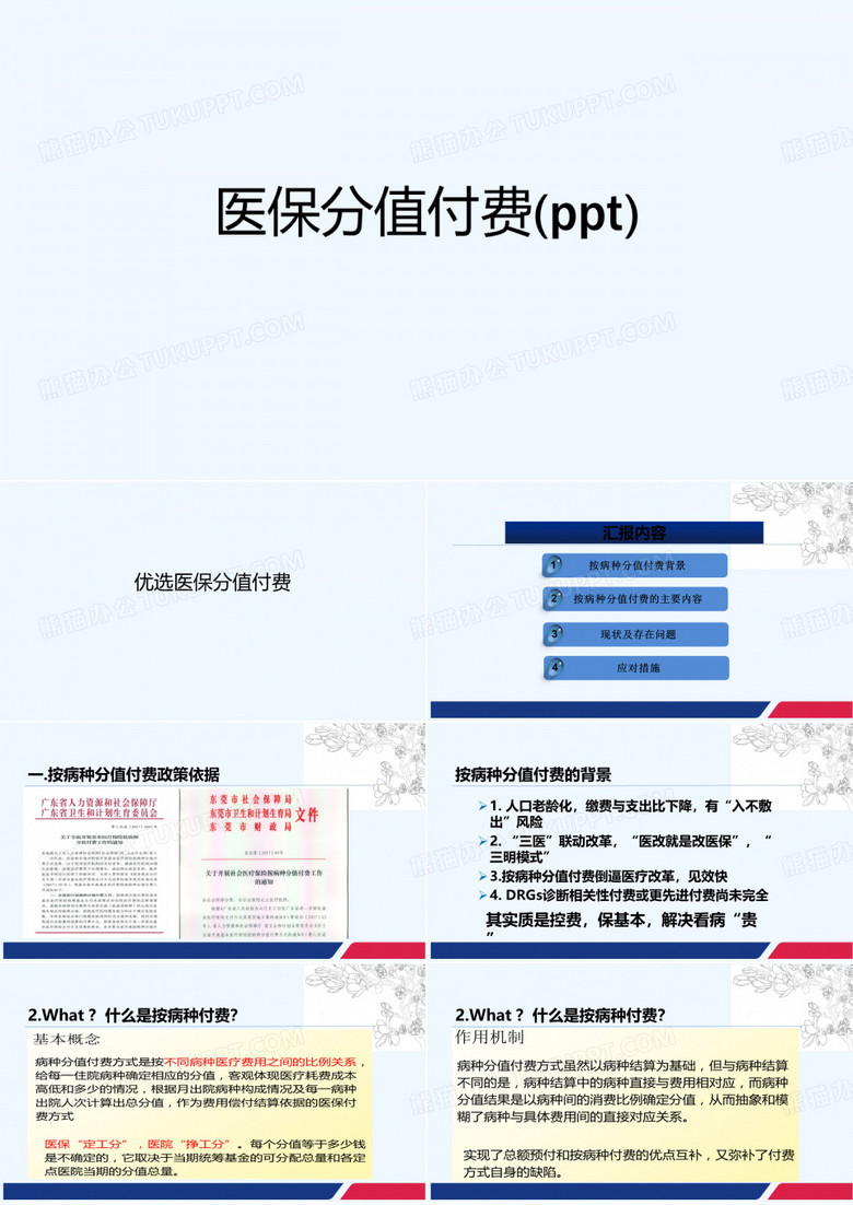 医保分值付费(ppt)