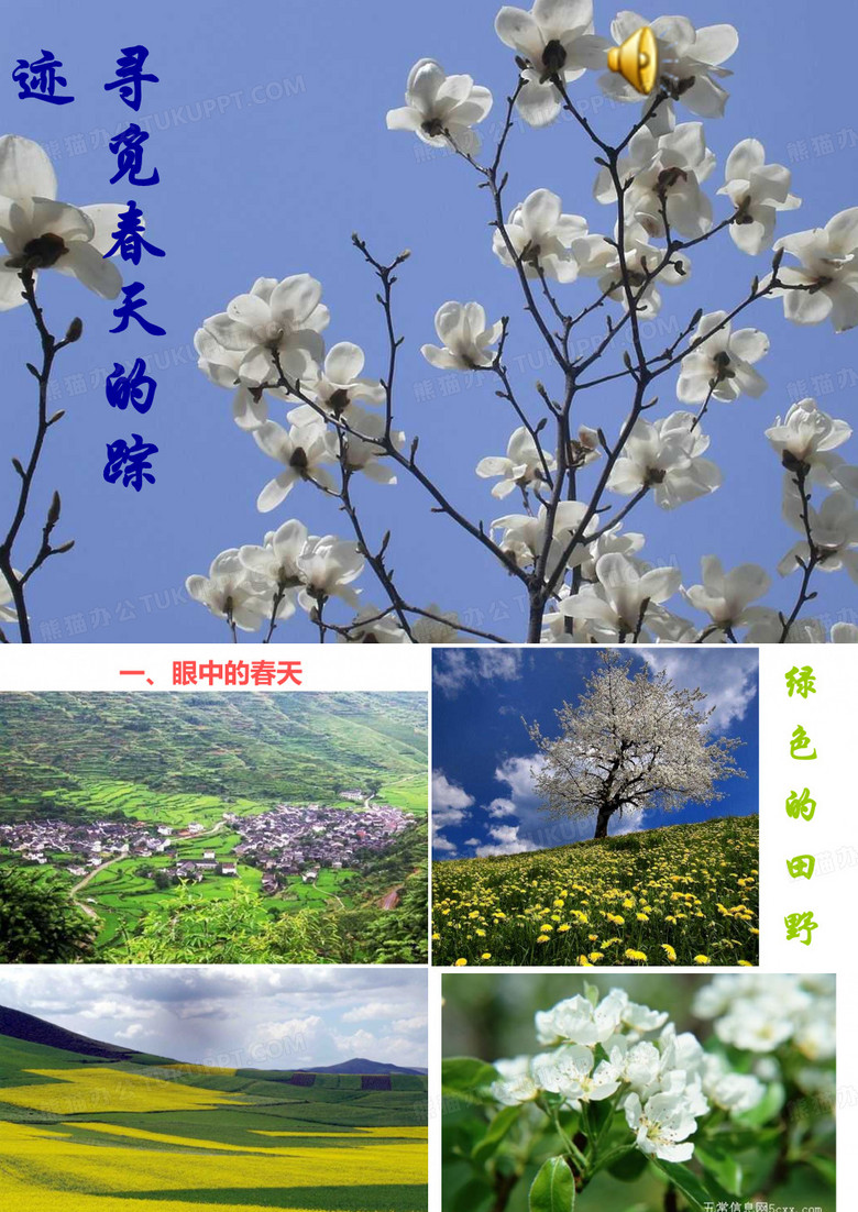 寻找春天的足迹