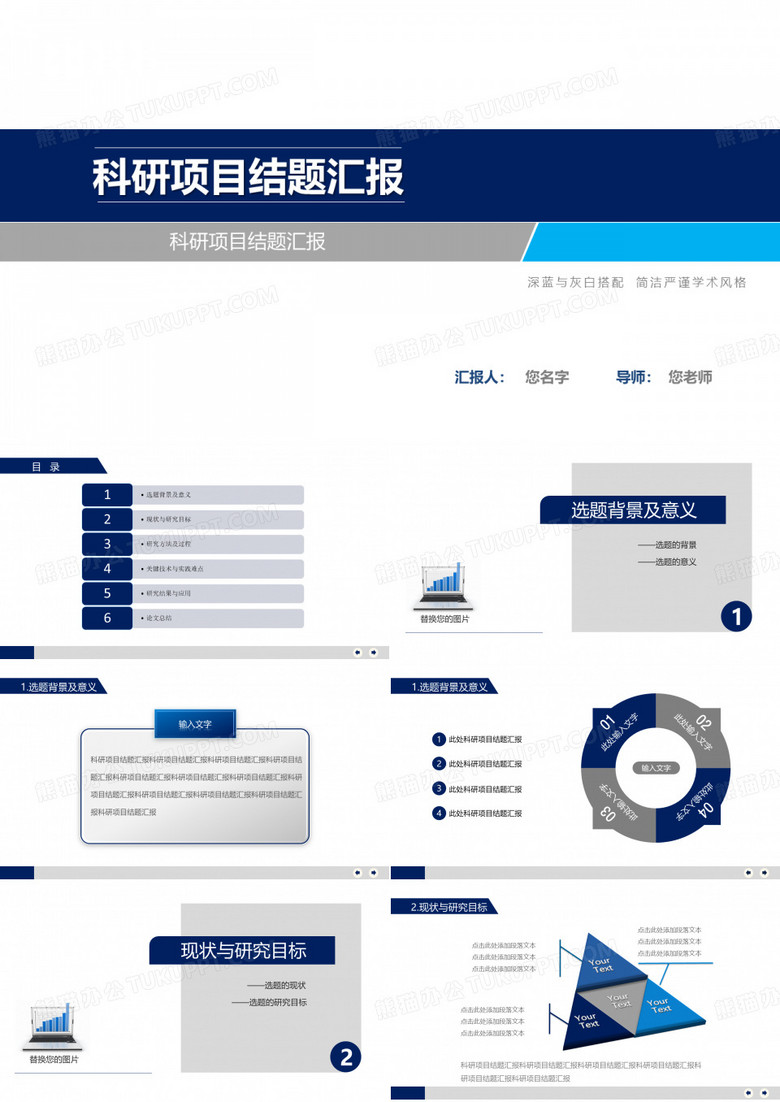 科研项目结题汇报