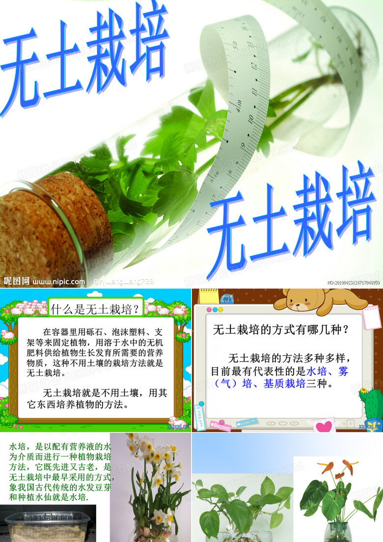 无土栽培