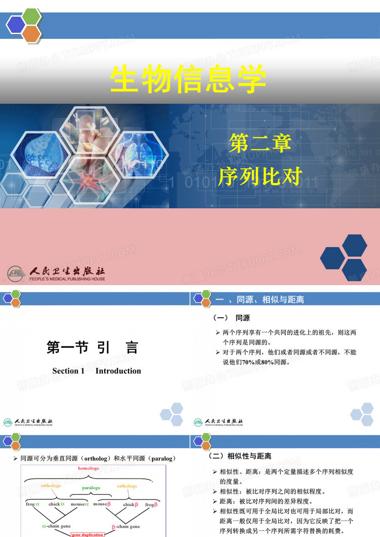 序列比对