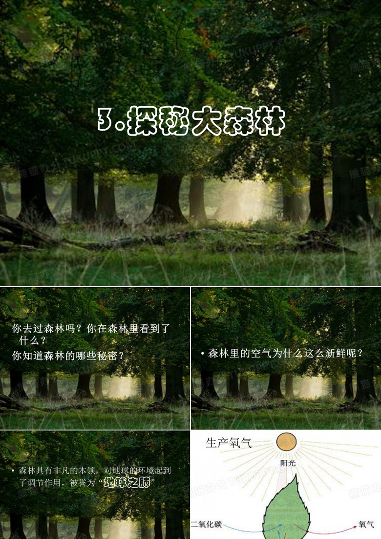 探秘大森林