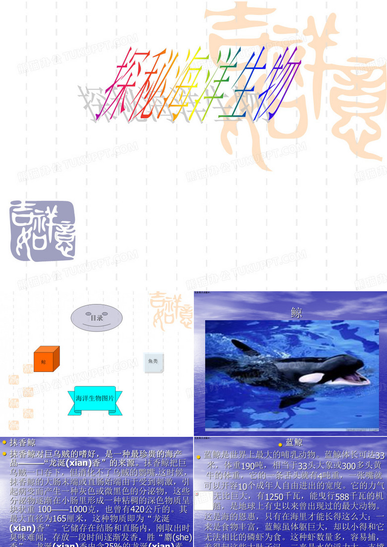 探秘海洋生物