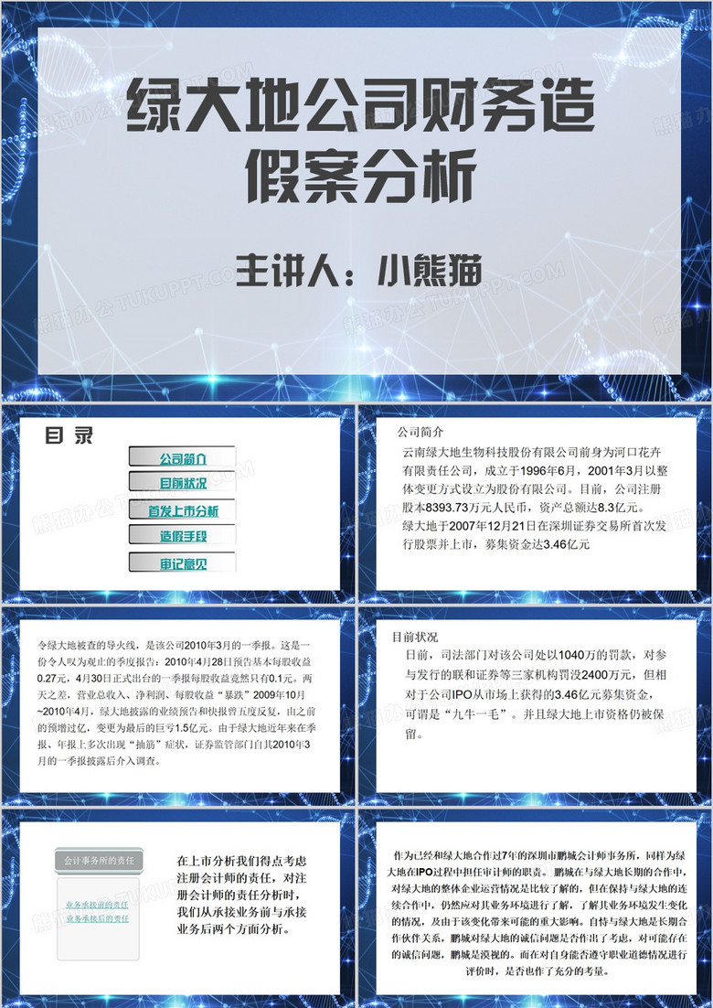 绿大地财务造假分析PPT模板