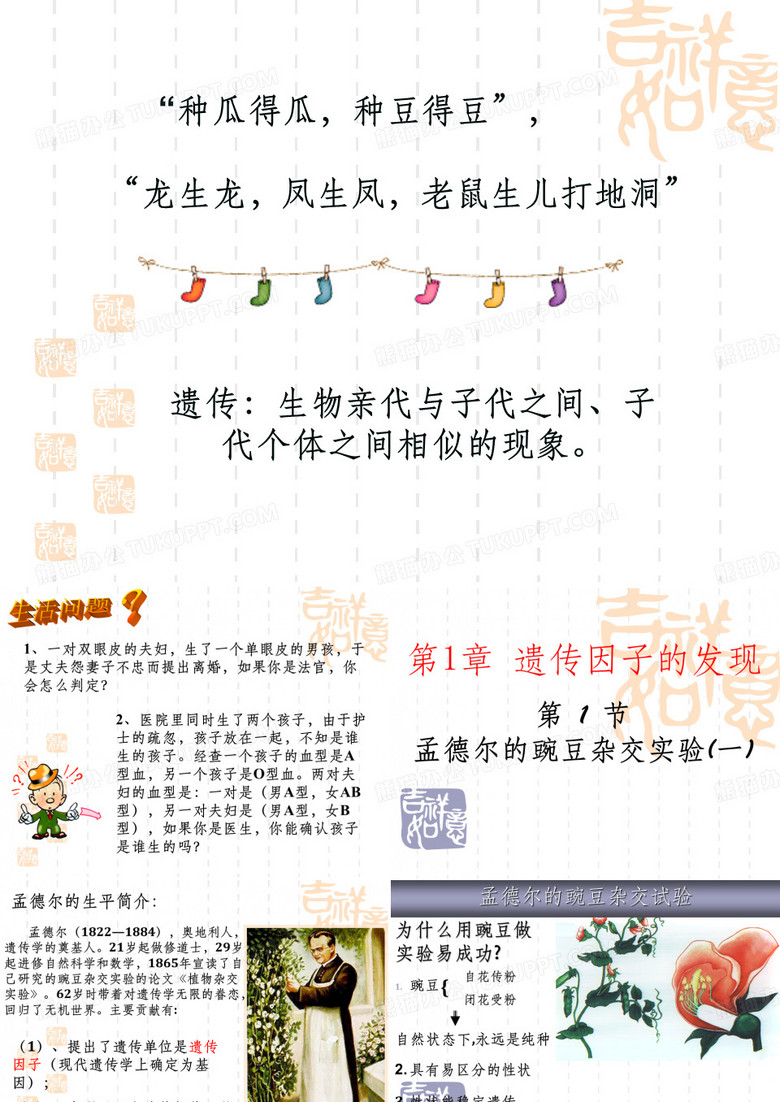 高中生物孟德尔豌豆豌豆杂交实验(一)PPT课件