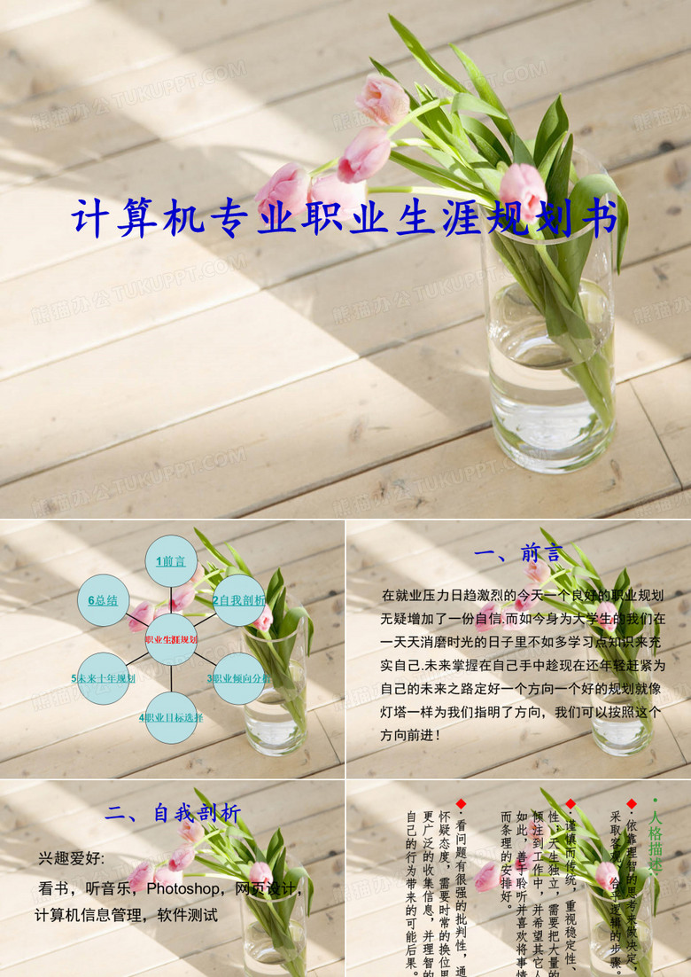 計算機專業(yè)職業(yè)生涯規(guī)劃PPT模板