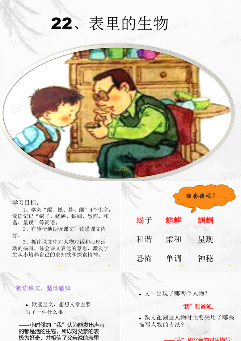表里的生物