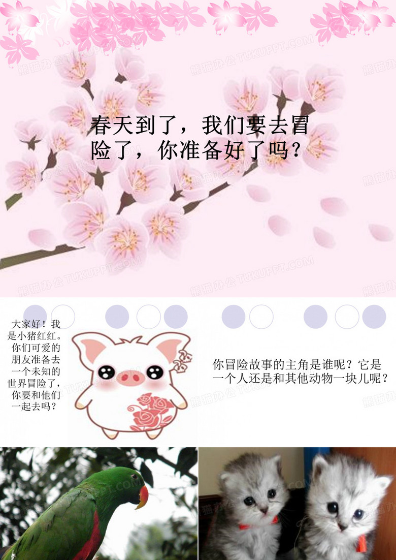 动物冒险故事.