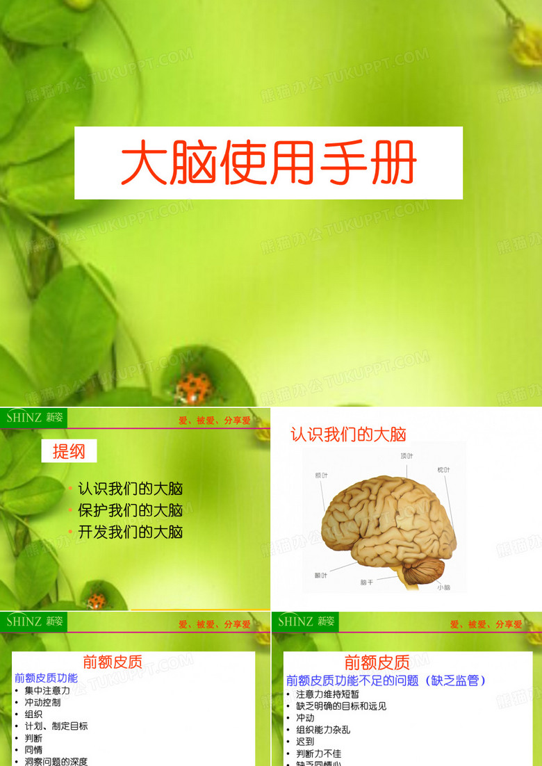 大脑使用手册