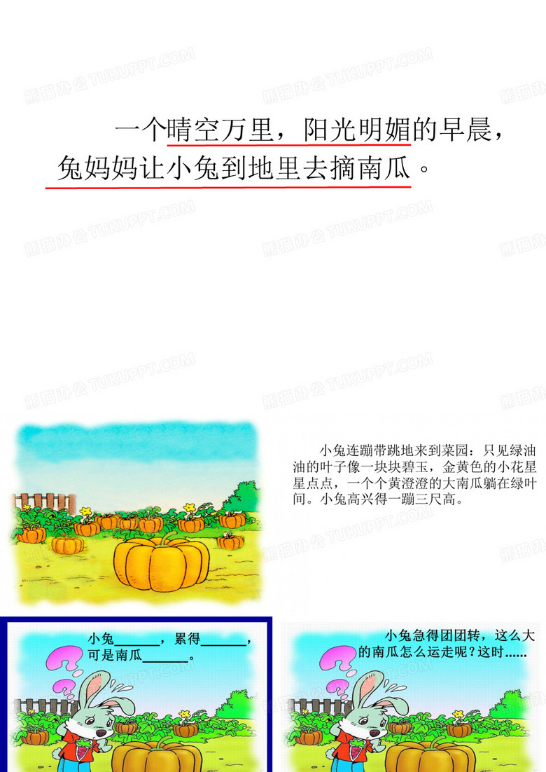 《小兔运南瓜》PPT