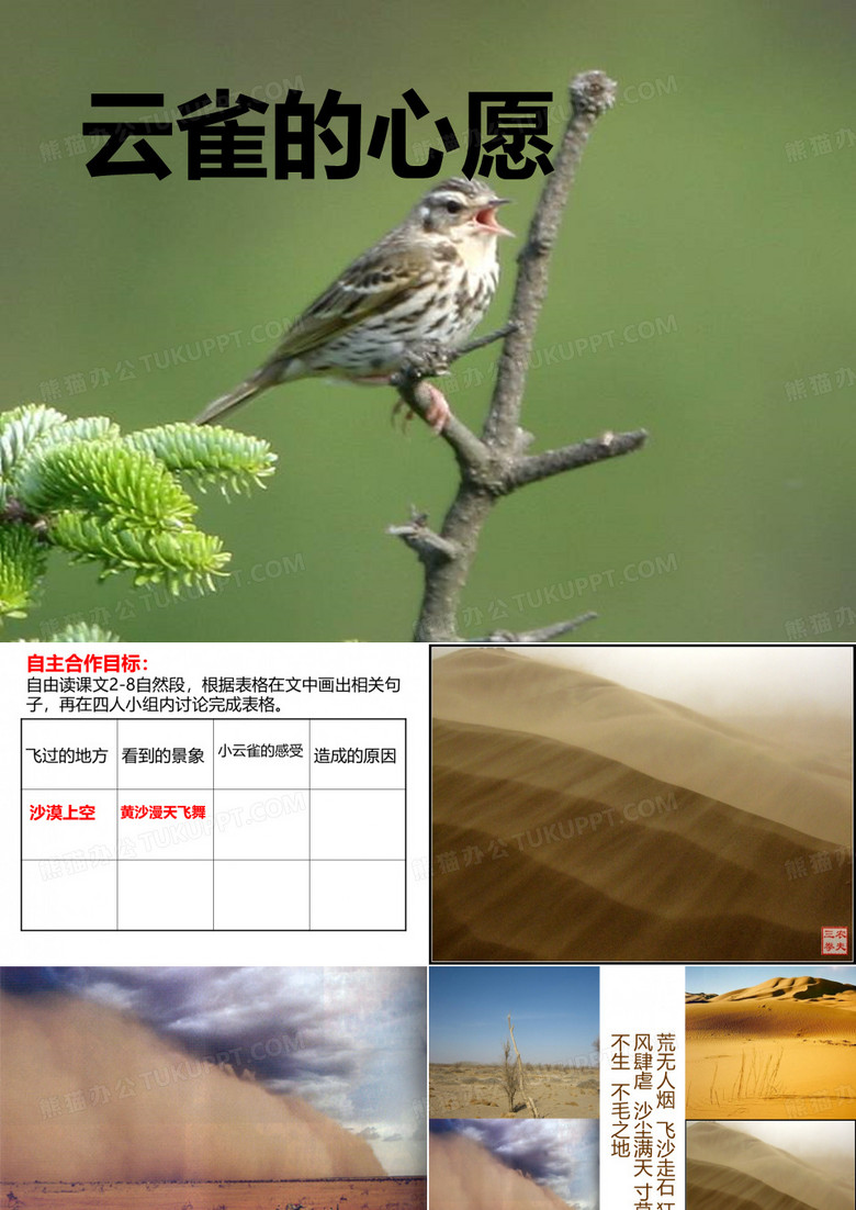 云雀的心愿ppt