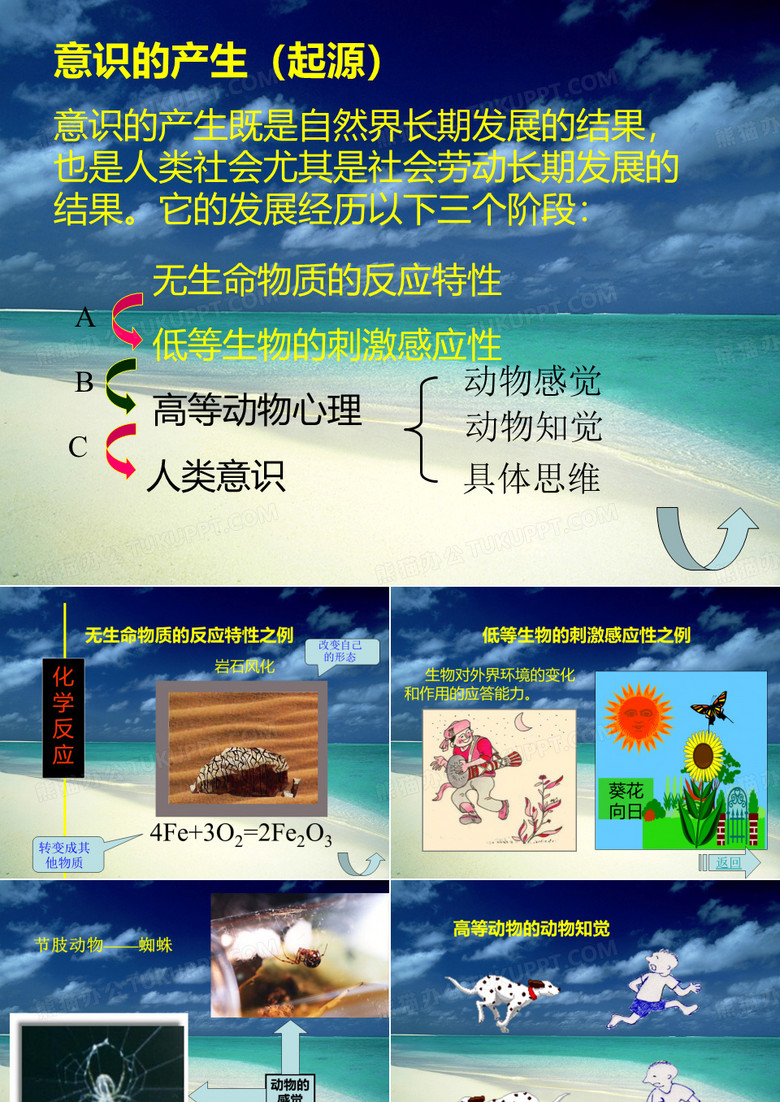 意识的三个发展阶段