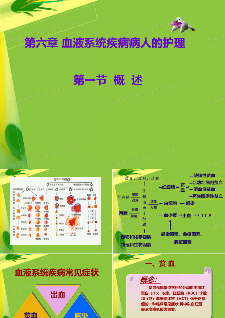红细胞的分化