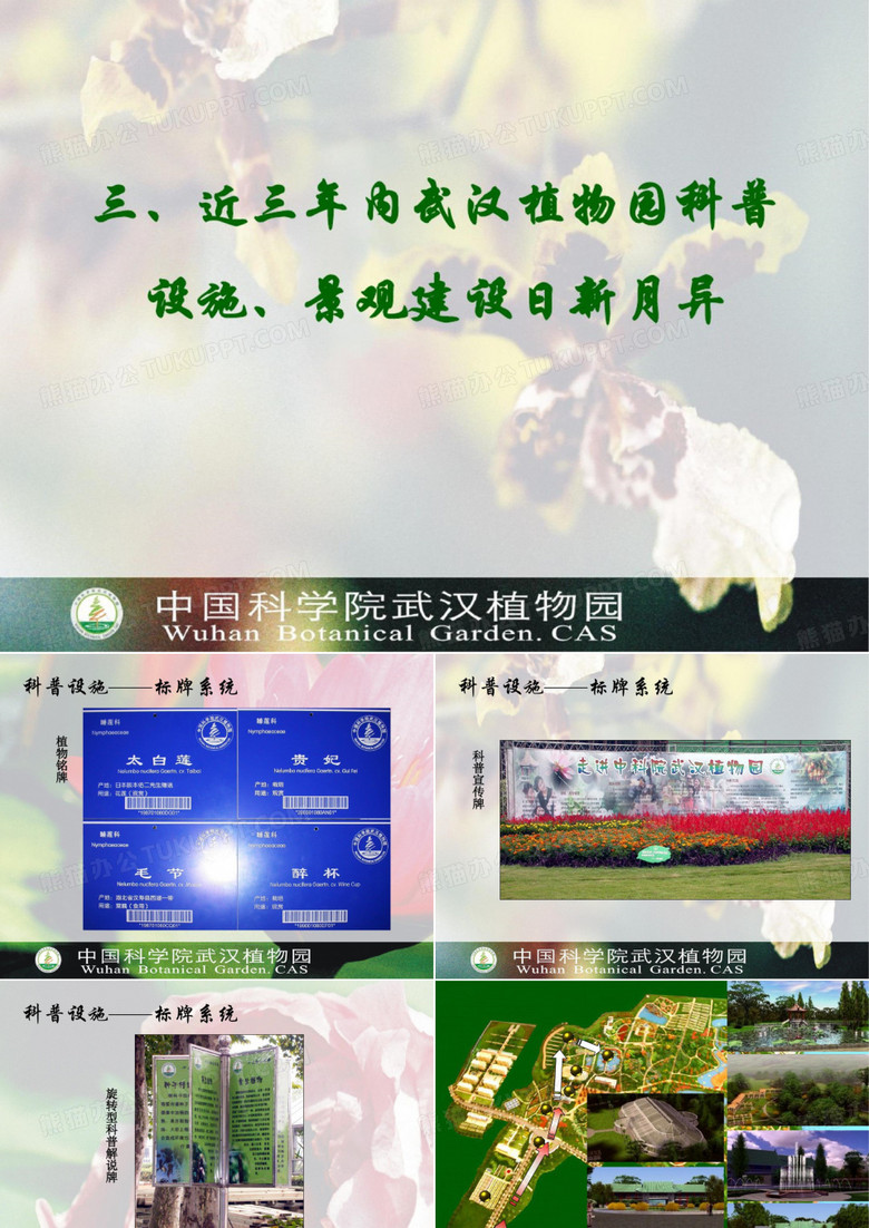 近三年内武汉植物科普.pptx