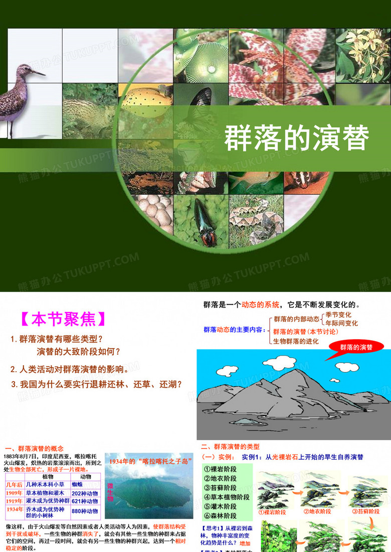群落演替