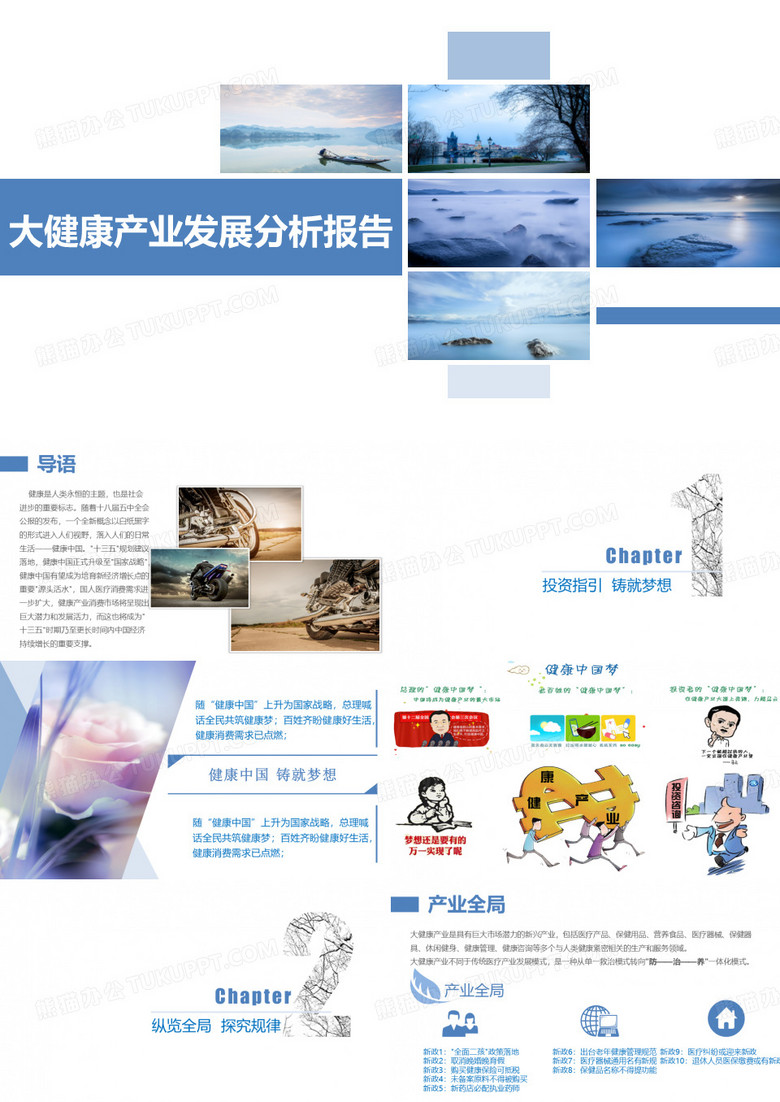 大健康产业发展分析报告