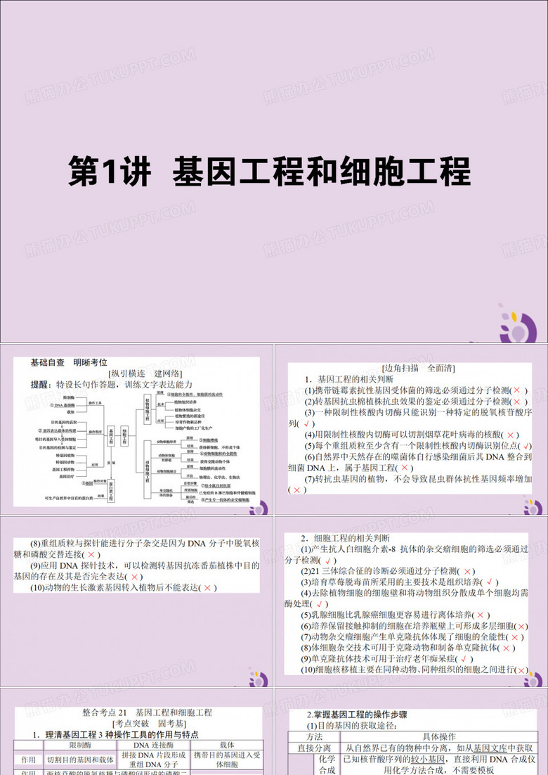 高考生物二轮复习专题七现代生物科技专题1基因工程和细胞工程课件