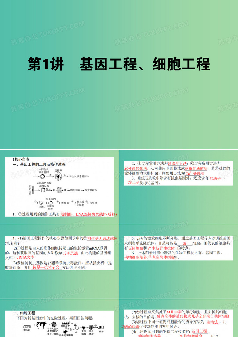 高考生物二轮复习 专题九 现代生物科技专题 第1讲 基因工程、细胞工程课件