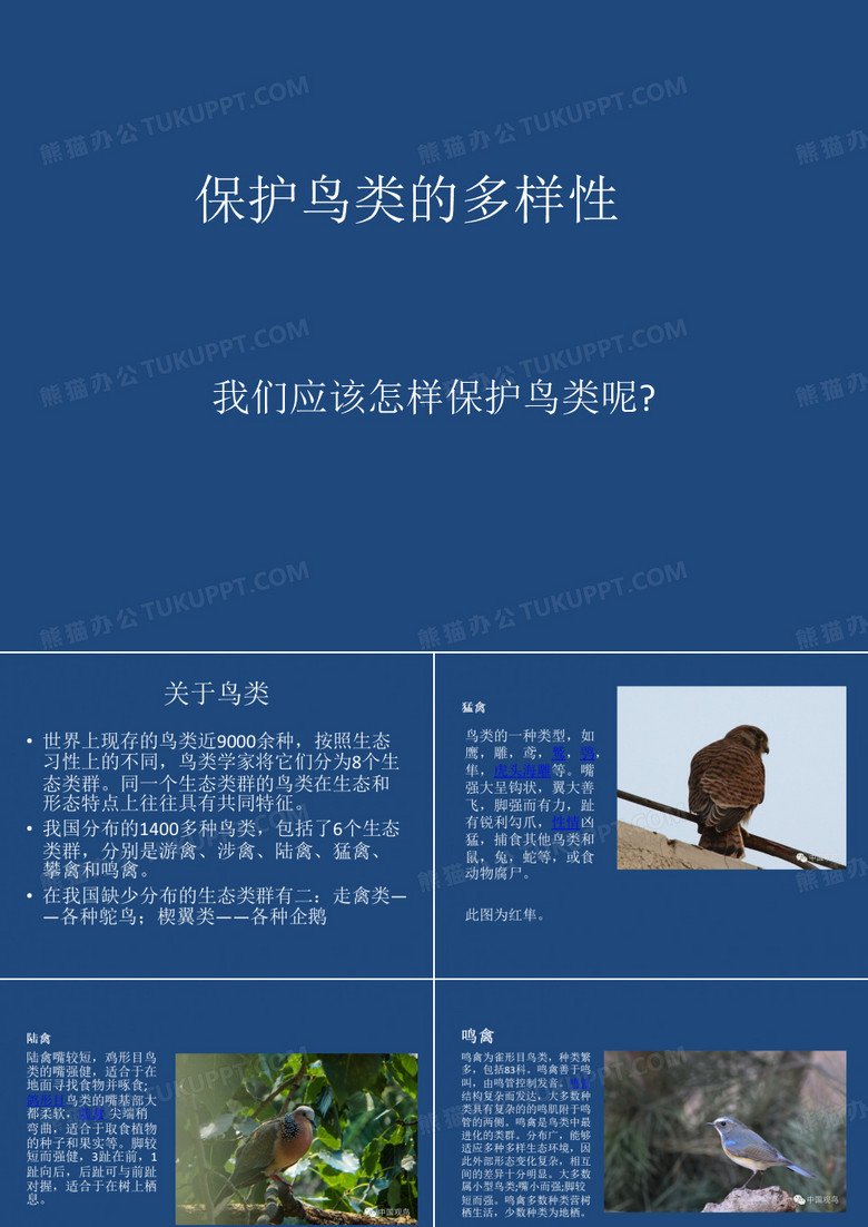 保护鸟类的多样性